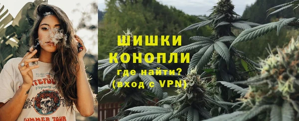 тгк Бородино