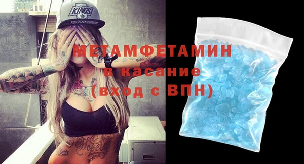 гидра Ельня